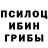 Псилоцибиновые грибы Psilocybe NIGMANOV