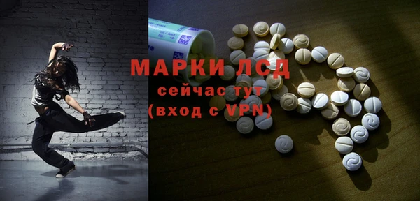 гашик Сатка