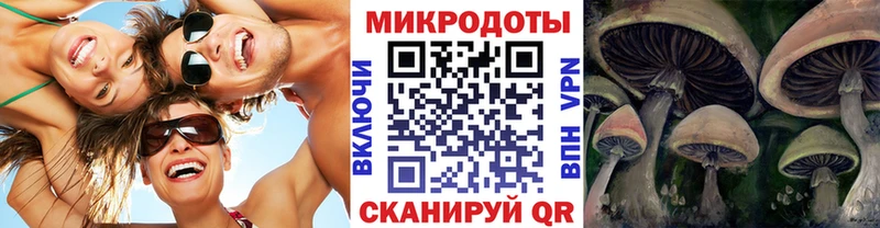 Галлюциногенные грибы мухоморы  Купить  Ветлуга 